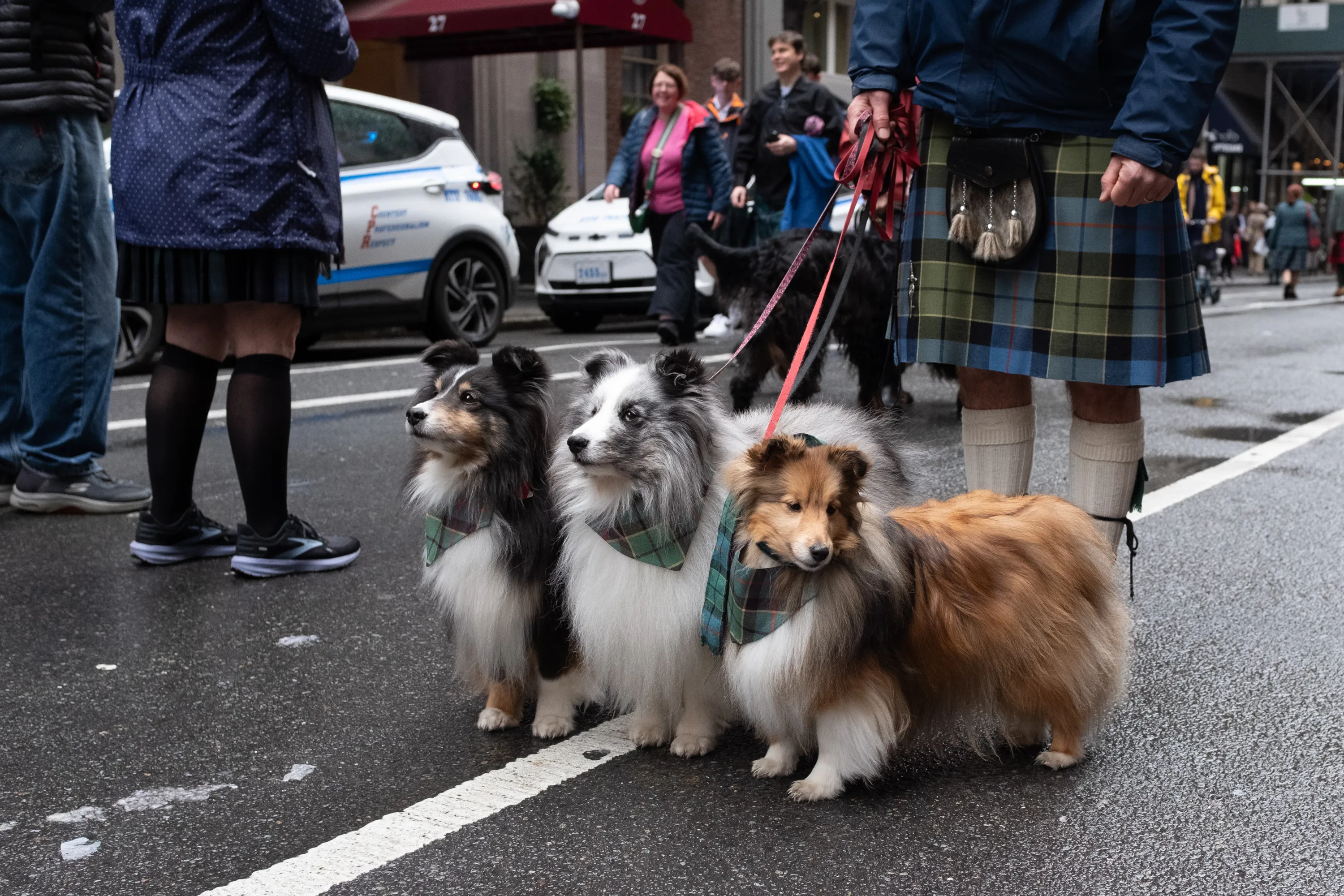 Tartan Day 1