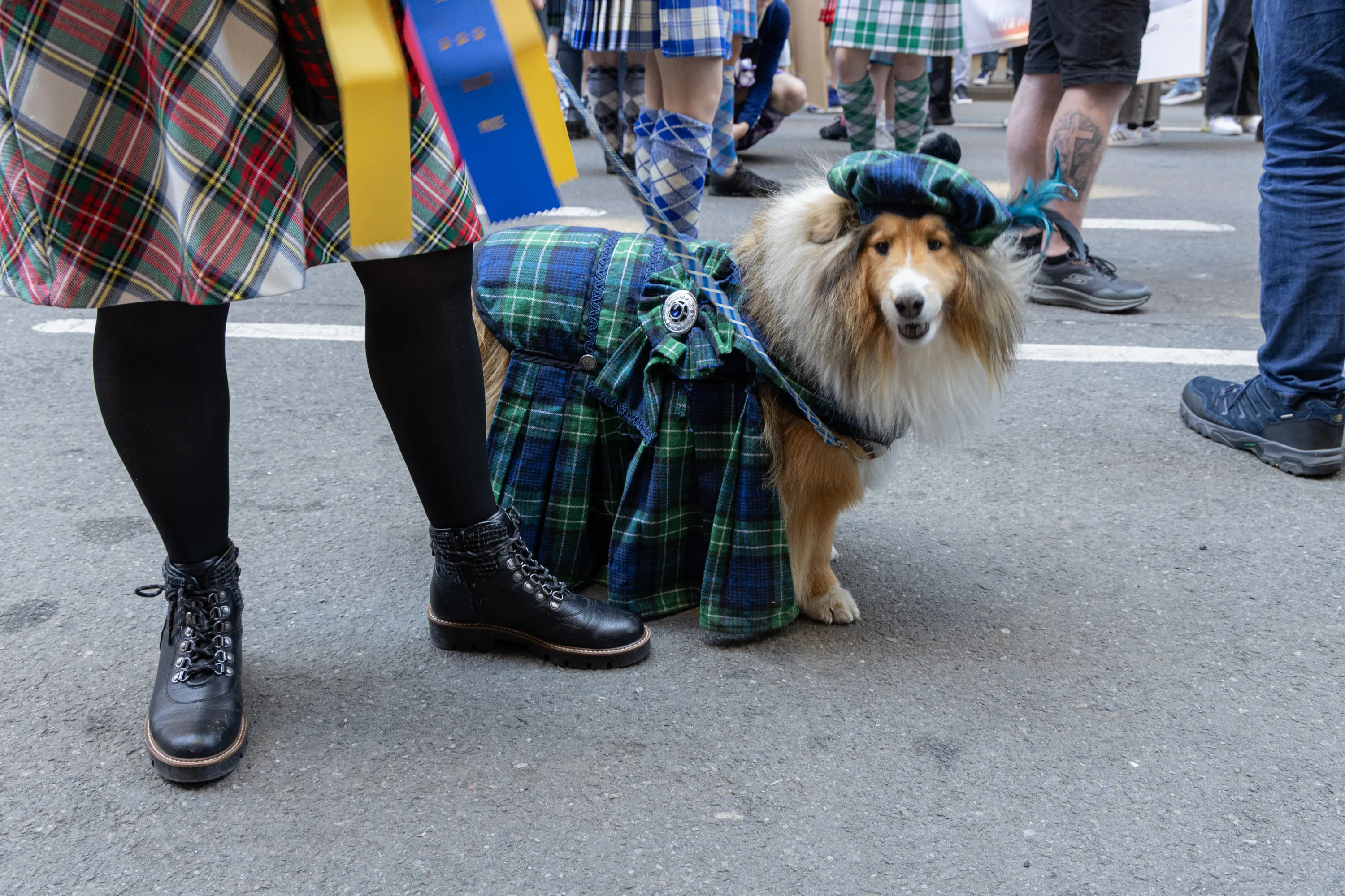 Tartan Day 6